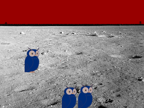 owl moon click